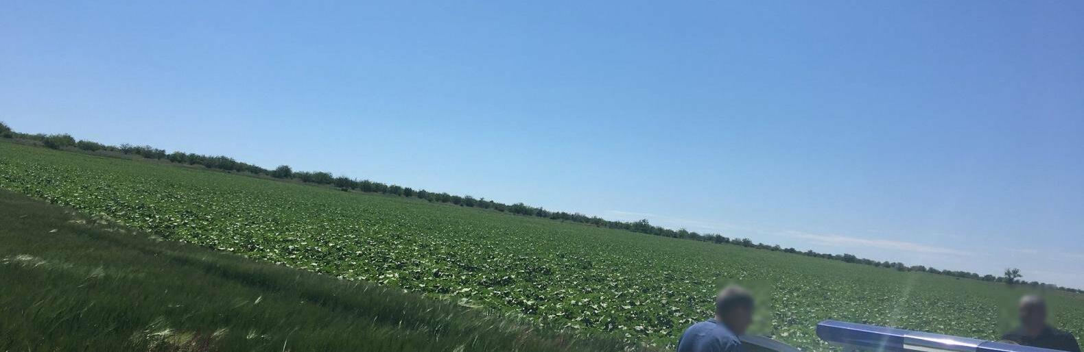 ����: 048.ua