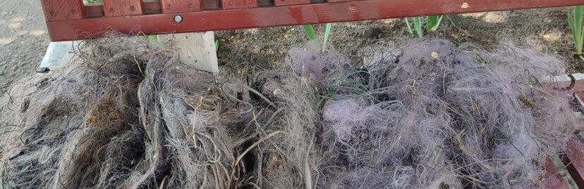  ������� ���������� ���� ���������� ���� 