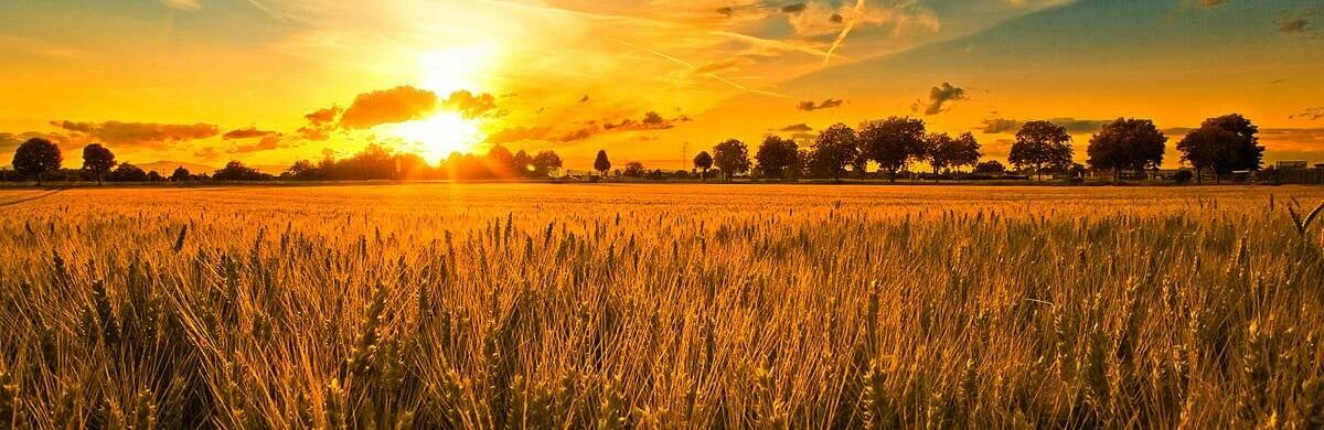  ����� ���� �������� ���� ������ ������� 