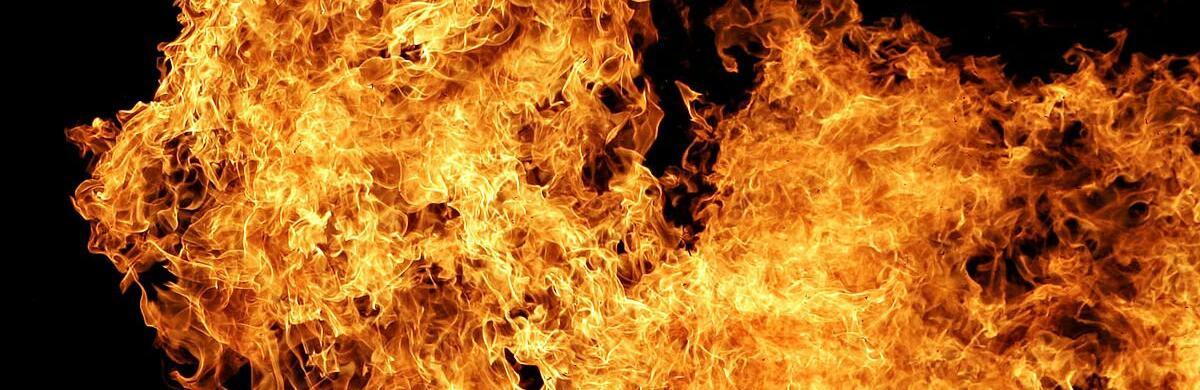  ���� ����� ����� ���� 