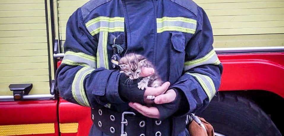 ����: 048.ua