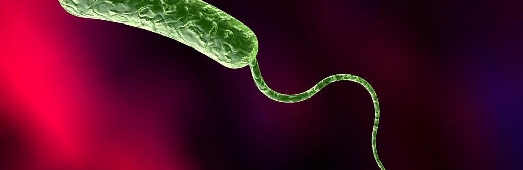 ����: 048.ua