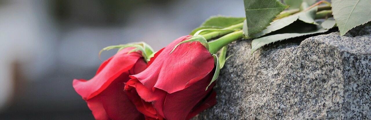 ����: 048.ua