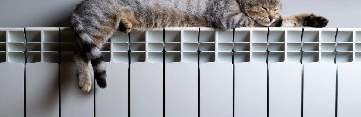 ����: 048.ua