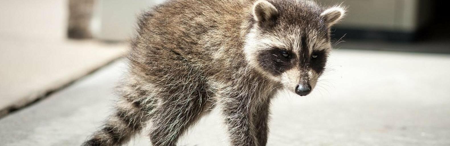 ����: 048.ua