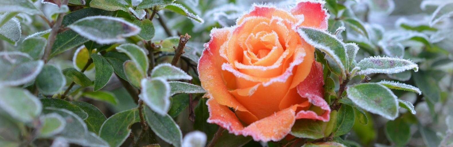  ������� ������ ����������� ���������� ������� ������ ������ 