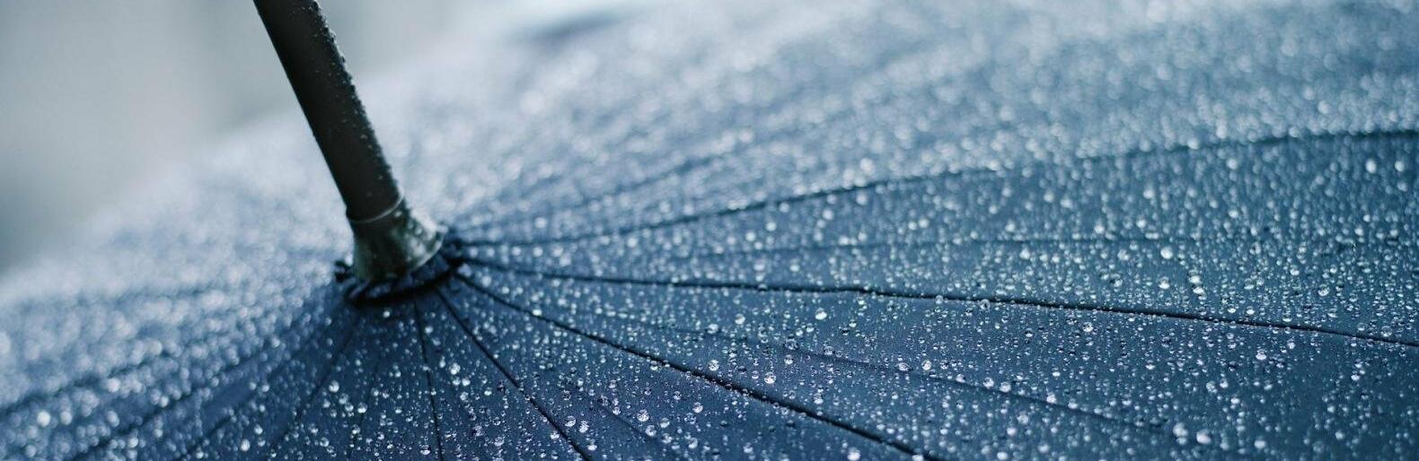  ������� �������� ��������� ��� ���� 