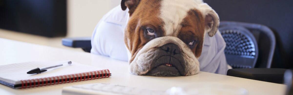  ������ ���� ��� ������� ���������� �� ����� ������� 