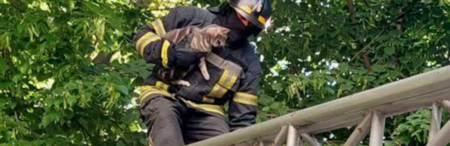  ������ ������������ ��������� ������������ ���� ���������� ������ ���� 