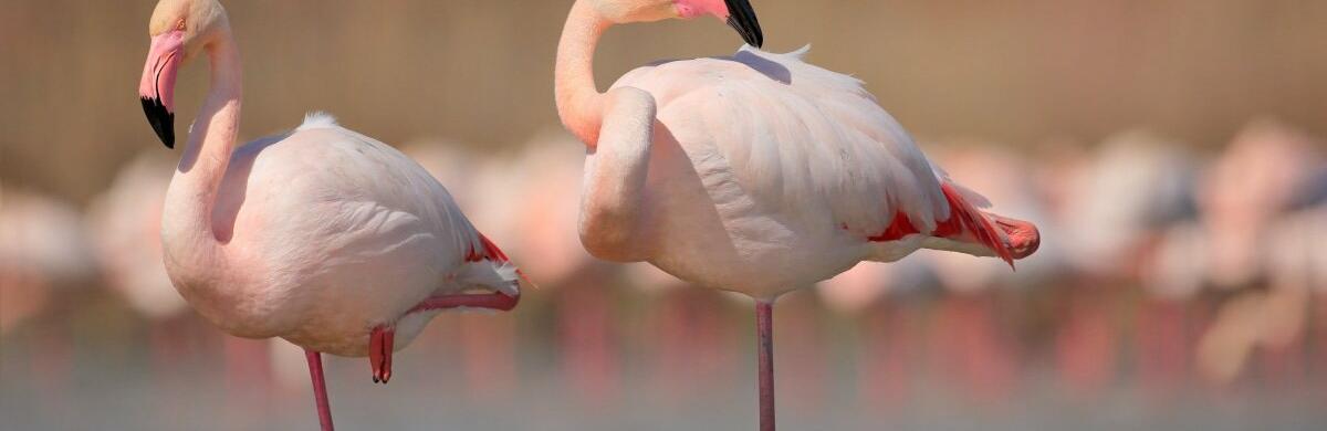  ������������ ������ ��������� ������� ���� ���� ����� �� 