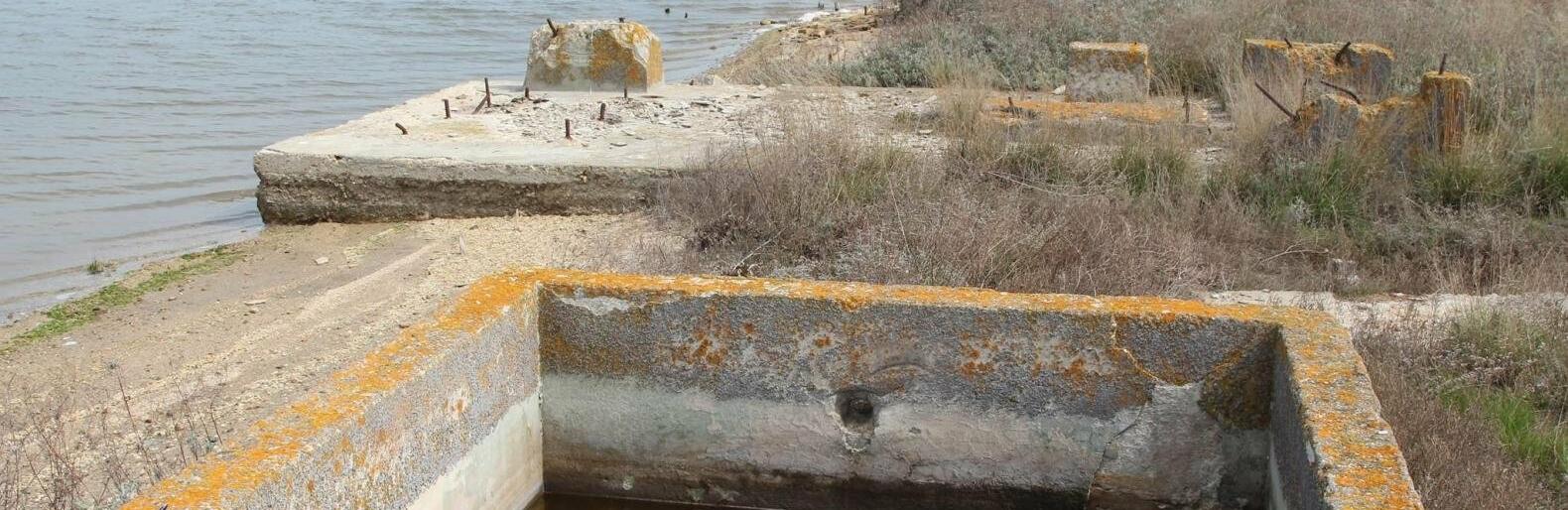  ������� ����� 100 ���� ���������� ��� ������ ����� 