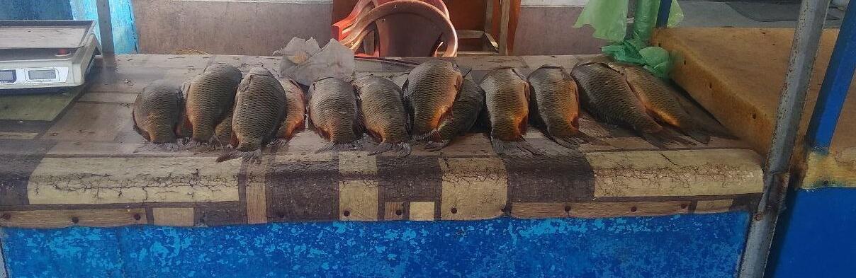  ������� ������ ��������� ���������� ��������� ������ ����� ���� 