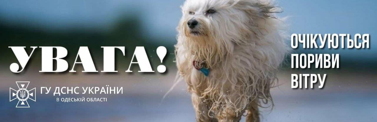  ���� ���� ��������� ��������� ��������� ������ 