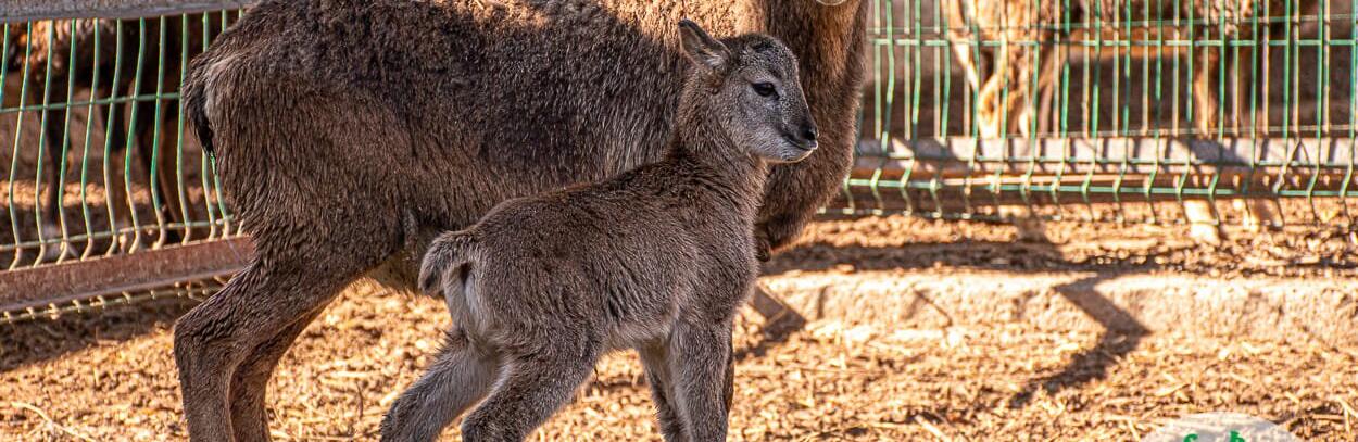  ��������� �������� ���������� ���� 