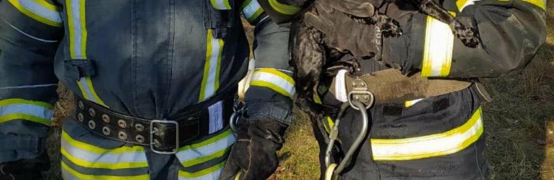  ������� ��������� ��������� ������ 