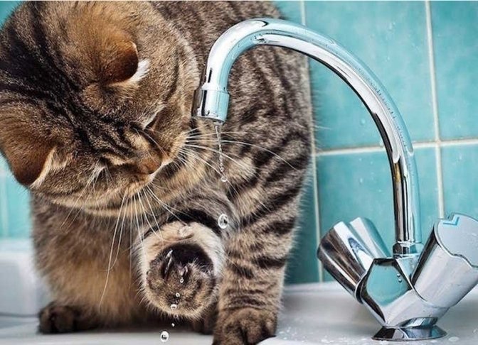  ������� ���������� ���� �������� ����� ������ ������ 