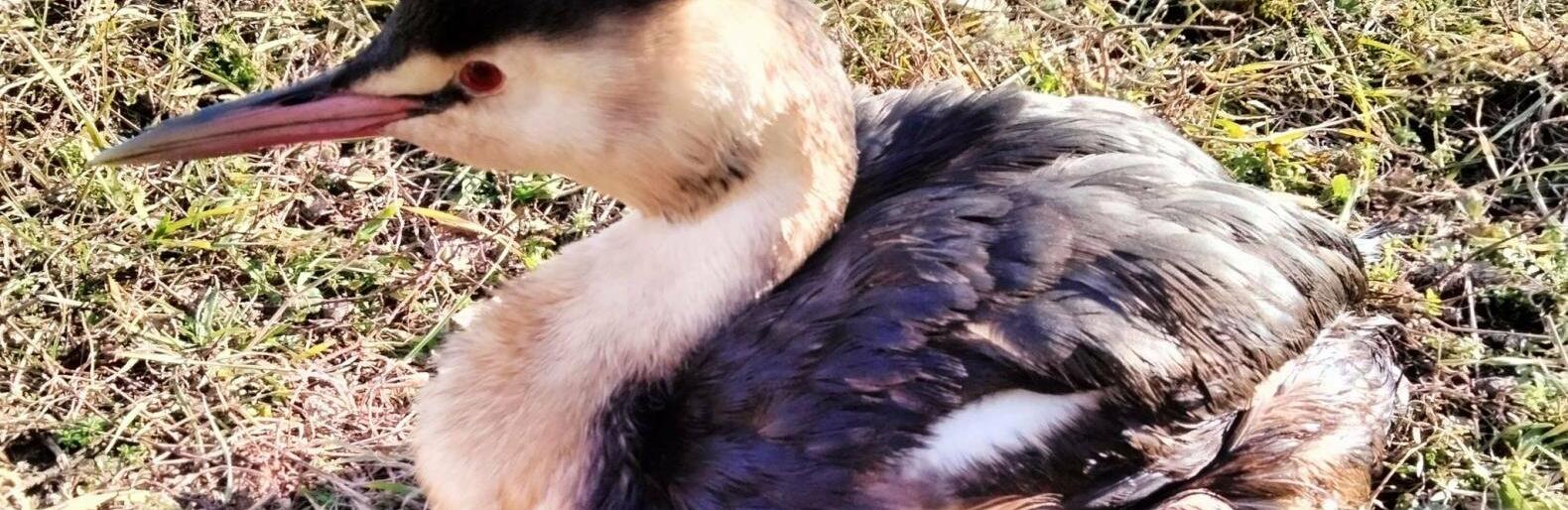  ������� ���� ���������� ������� ������� �������� ����� ����� 