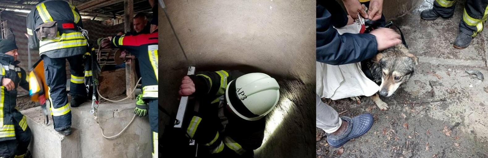  ��� ���� ��� ��� ������� ��������� ������������ 