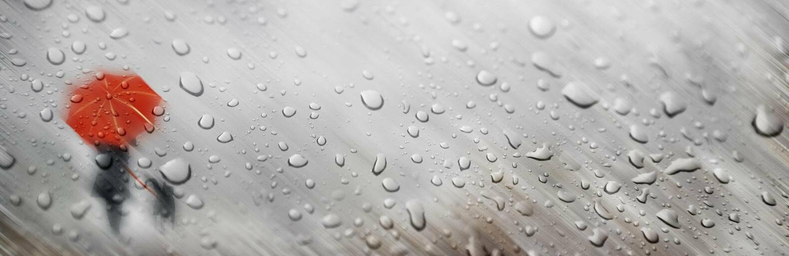  ������ ��������� ��� ������� ������ ���� ������ ������ 