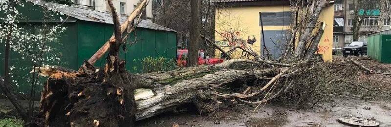  ������ ������� �������� ���� 134 ��������������� ��������� 