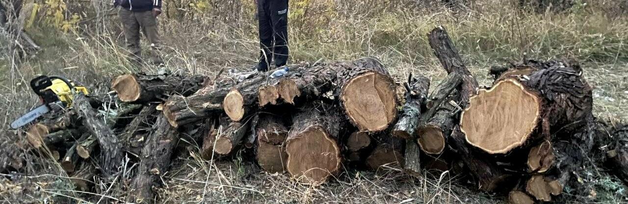  ������� ������������� ������� ������� ������� ���� 