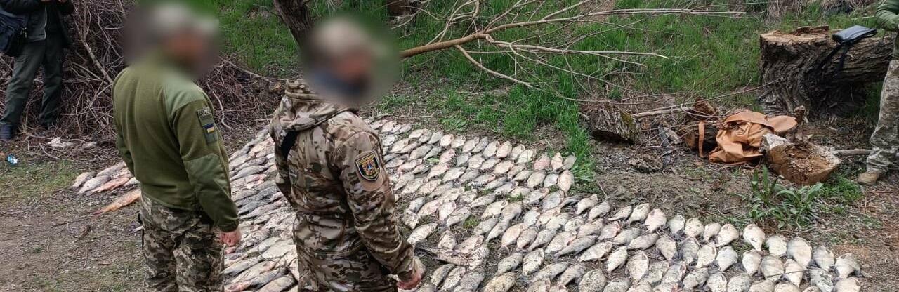 ����: 048.ua