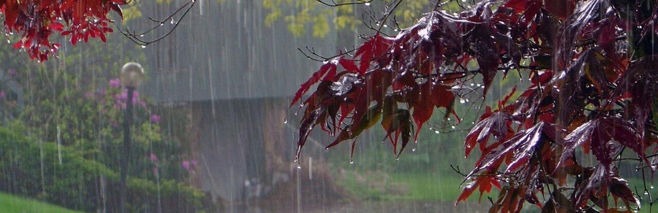  ������ ���� �������� ������� ������ 