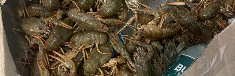 ����: 048.ua