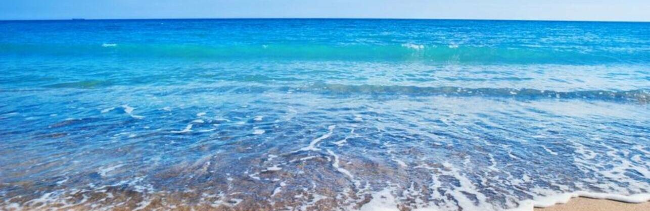  ������ ��������� ����� ������� ������ ���� ����� 