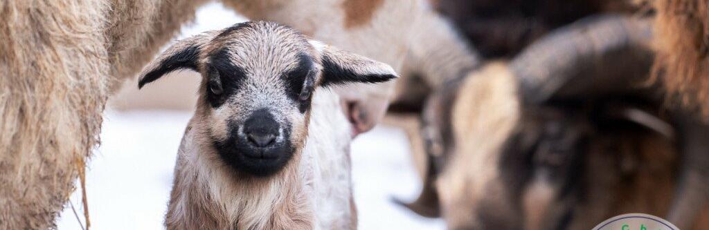 ����: 048.ua