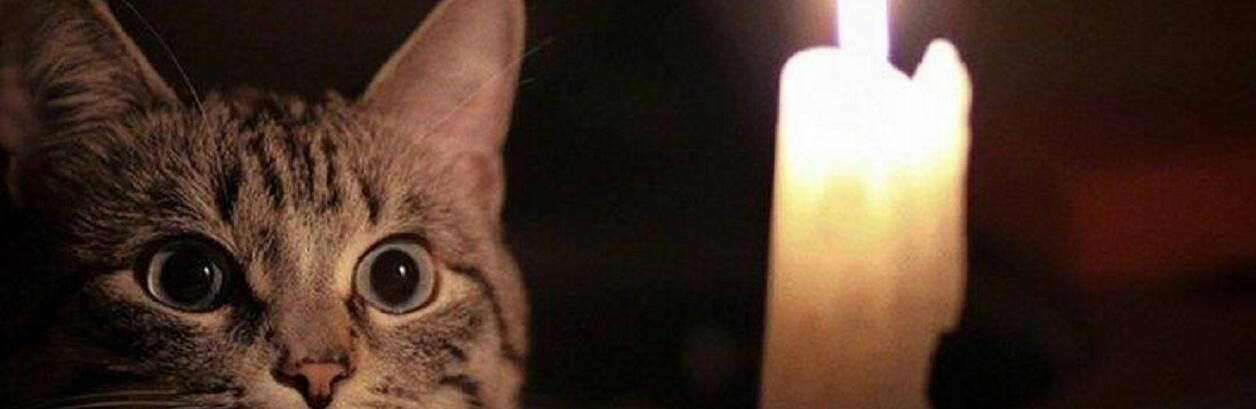  ����� 150 ����� ���� ����� ���� ������ 