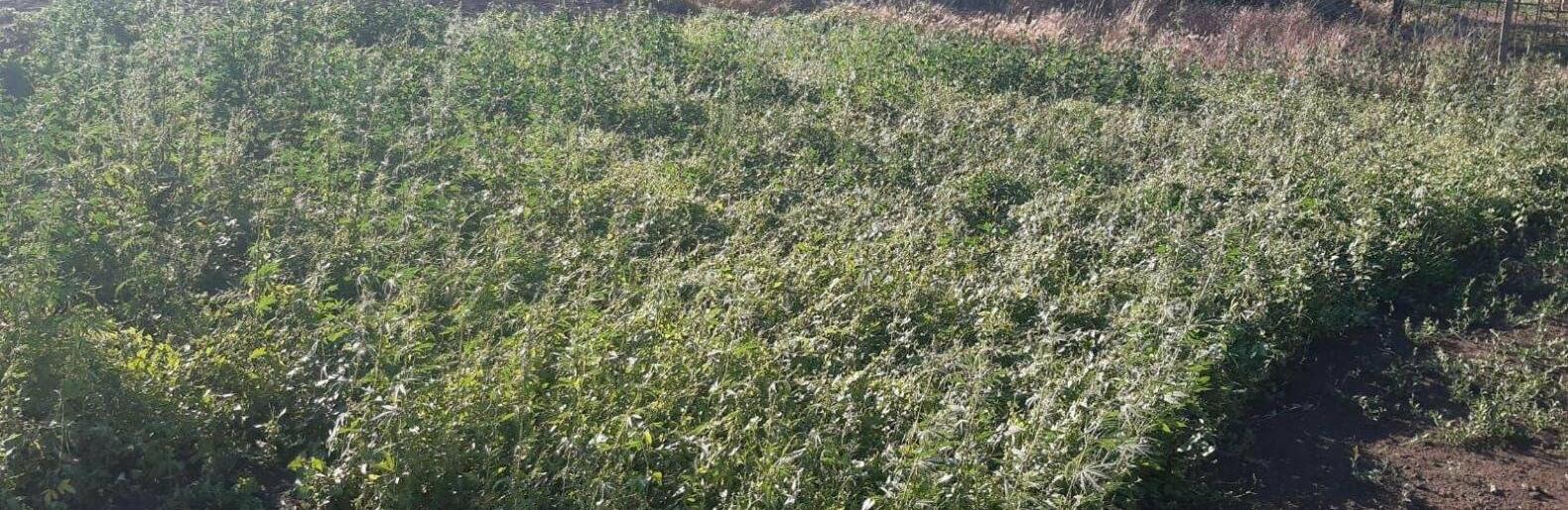 ����: 048.ua