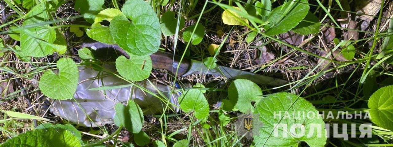  ��������� ��������� ����� ������� ����� ���������� ���������� ���� 