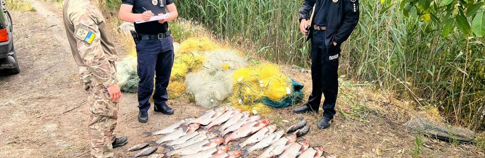  ���������� ������� ������ ����������� ������ ������� ���� 