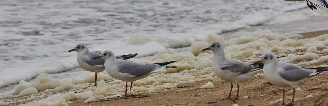  ������� ������ ���� ������ ���� ������ 