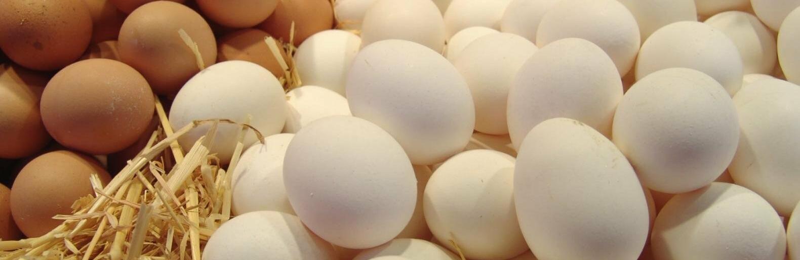 ����: 048.ua