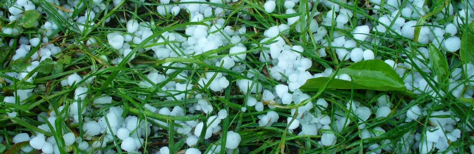  ���� ��� ���� ���� �������� ���� ������ ������� 