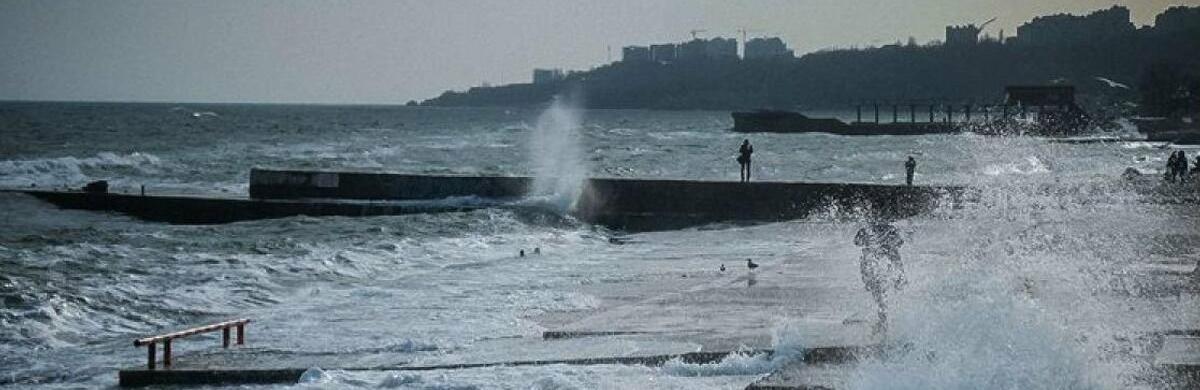  ������ ����� ������������ ���� ������ ��������� �������� ������������ 