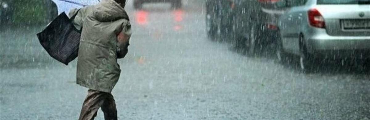  �������� ������������ ���� ������ ����������� ������� ���� 