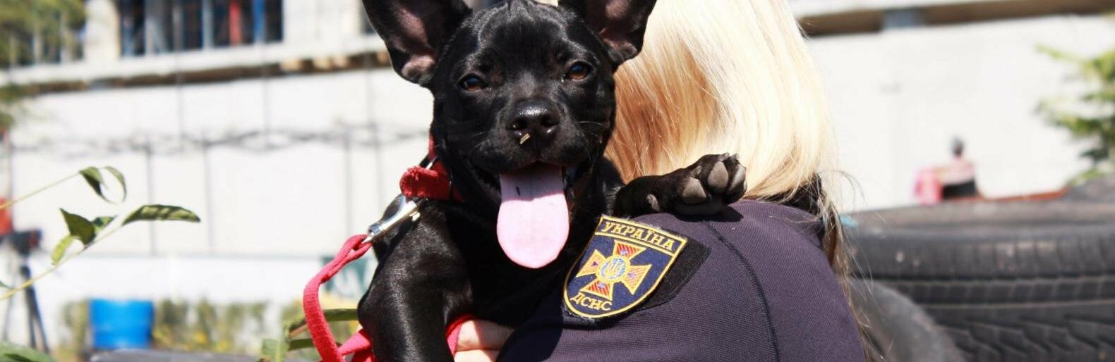  ���� ��������� ������� ����������� ������������ ������������ ���� ���� 