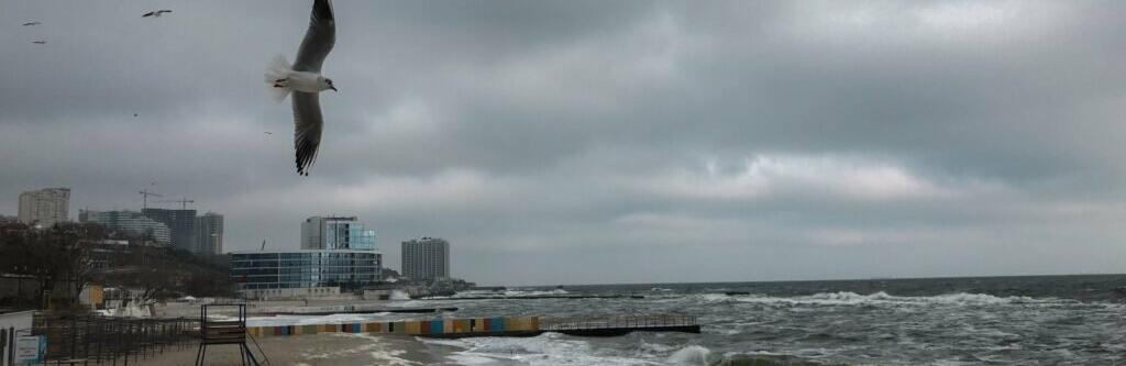  ������� ������ ������� ����� 