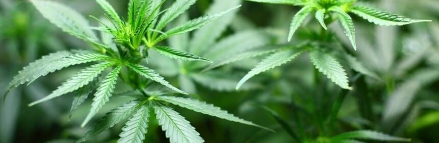 ����: 048.ua