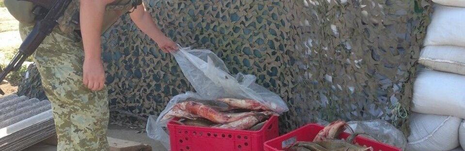  ������� ���� ������������ ������� ������������� ���� ���� 