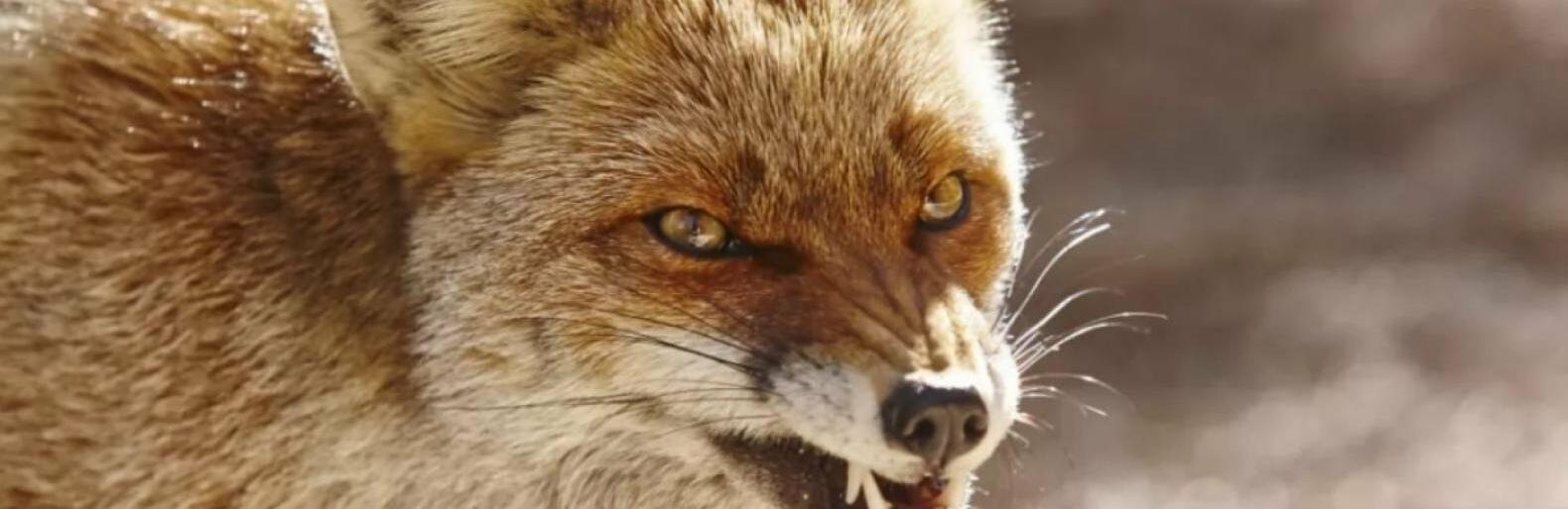 ����: 048.ua