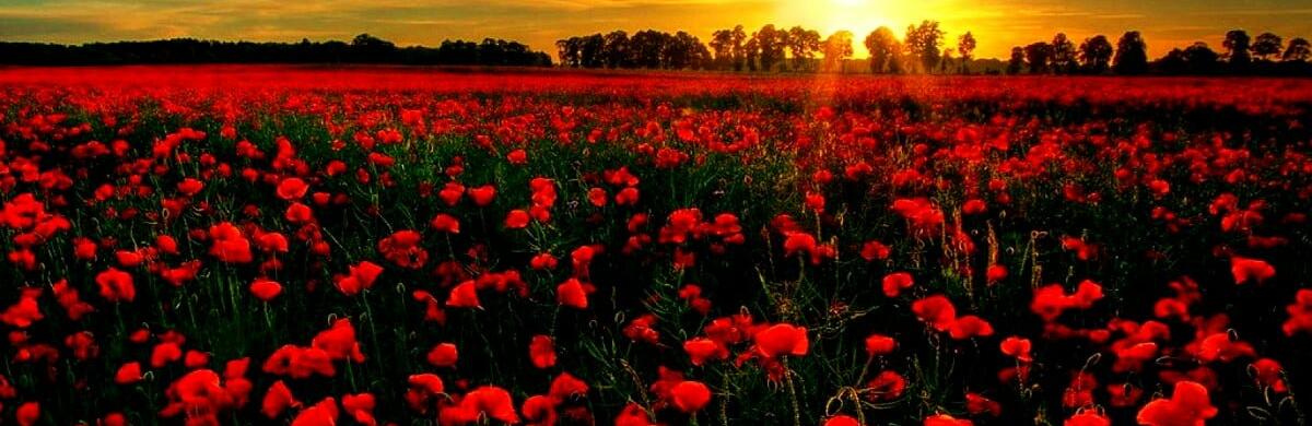  ����� ������� ������ ������� ����� 