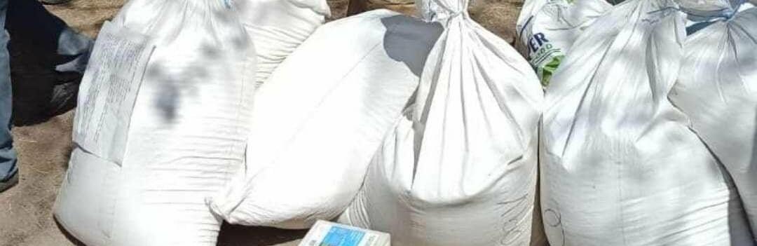  �������� ������� ������ ������� ����������� �������� �� ������ 