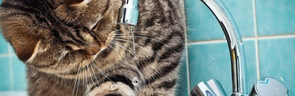  ���� ������ ���� ���������� ����� ������ 