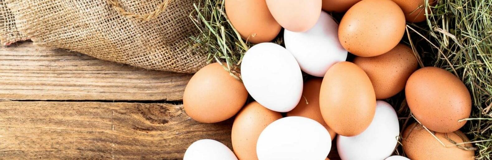  �������� ������������� ����� �������� ���� ������ ���� ��������� 