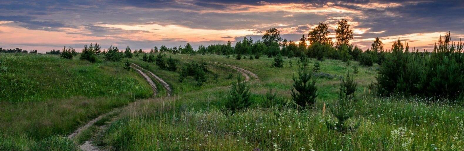  ������ ���� �������� ������� ������ 