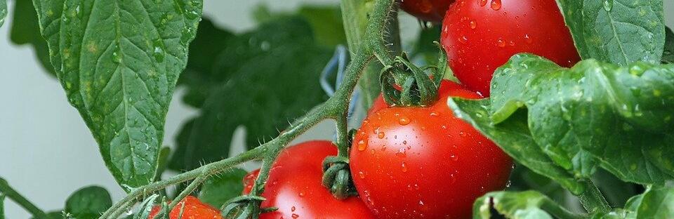  ����� ����� ������������ ���������� ������� ������� 